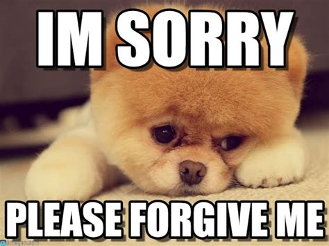 funny pics saying sorry