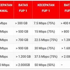 fup indihome 100mbps