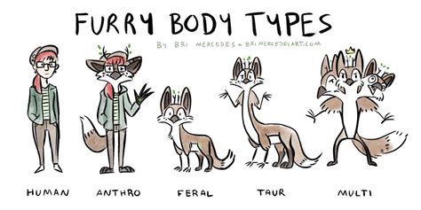 furry meaning in spanish