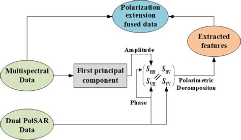 Fused Data Definition