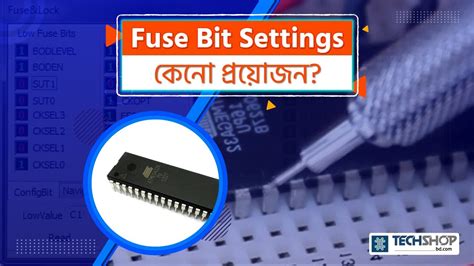 Fuses In Microcontroller
