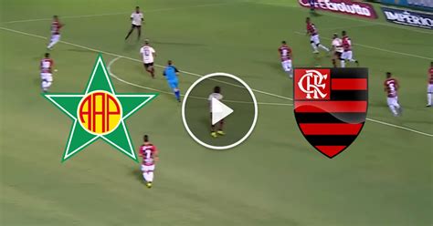 futebol carioca ao vivo