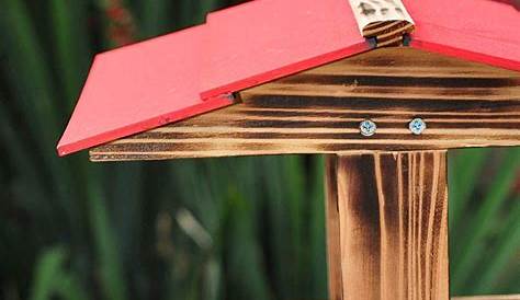 Anleitung: Vogelfutterhaus aus Holz selber bauen | Vogelfutterhaus, Diy