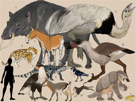 5 Ways Future Wildlife