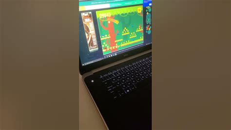 fuzz bugs treasure hunt world record