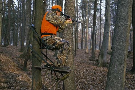 fwc deer hunting season