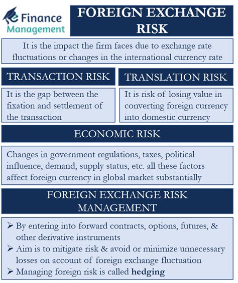 fx risk definition