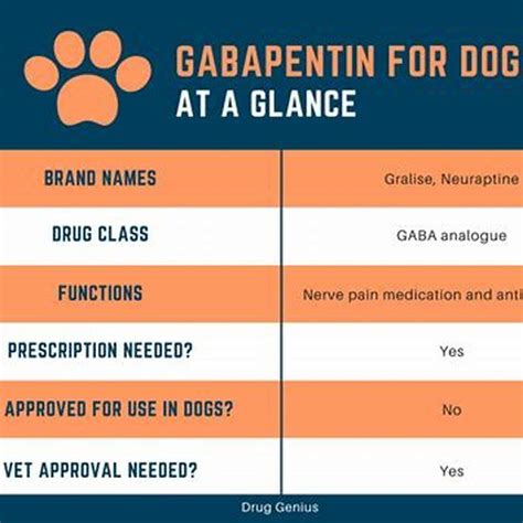 Gabapentin Cat How Long