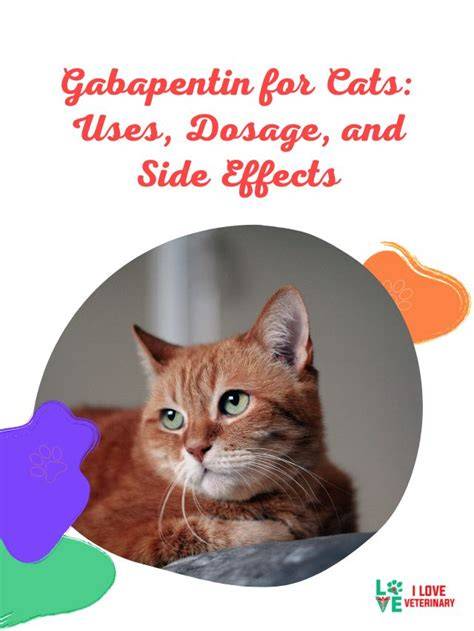 gabapentin for cats side effects