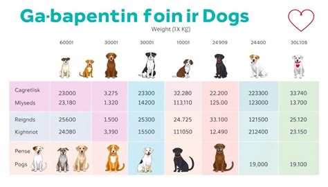 Gabapentin Weight Gain In Dogs
