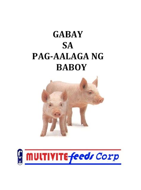 gabay sa tamang pag aalaga ng baboy