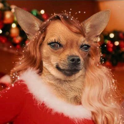 gabi@@&$&@\"# (@gabi_tridico) / Twitter
