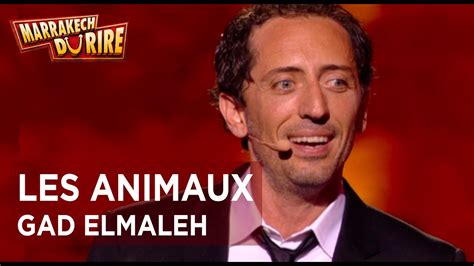 gad elmaleh les animaux