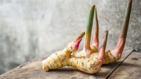 Fresh Galangal Root