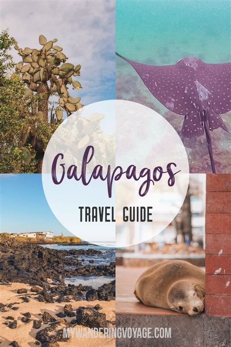 galapagos island trip tips