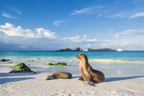 galapagos island trips