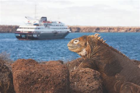 galapagos islands cruise