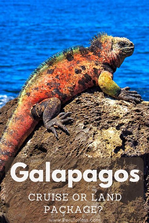 galapagos islands land tour packages