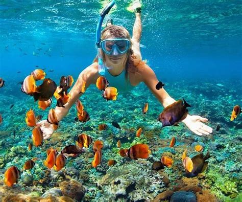 galapagos islands sites for snorkeling