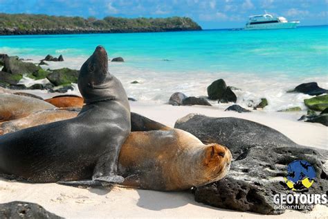 galapagos islands travel agency