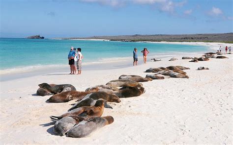 galapagos islands travel safety