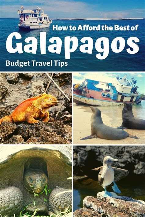 galapagos tours budget