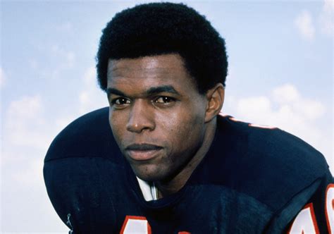 gale sayers stats
