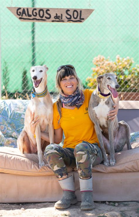Discovering The Majestic Galgos Del Sol