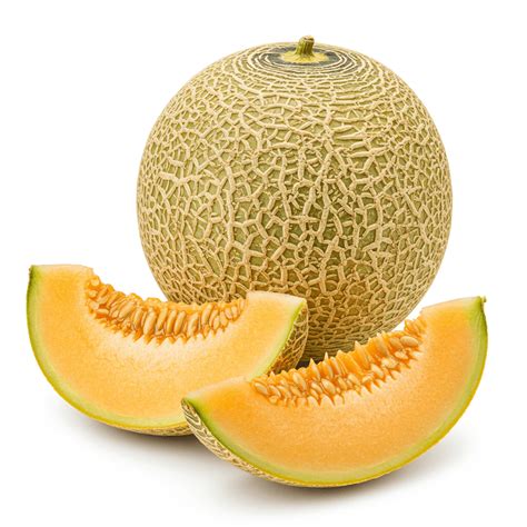 Galia Melon Histamine