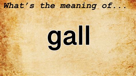 gall definition slang