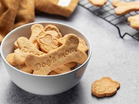 Cómo hacer Galletas para Perros 🍪 🐶 ¡Caseras, Fáciles y Nutritivas