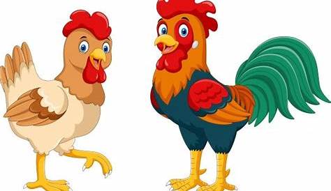 Cute dibujos animados de gallina y gallo | Vector Premium