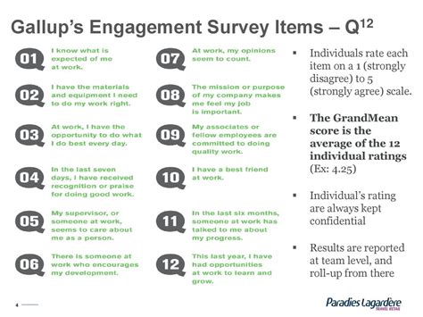 gallup survey questions meaning