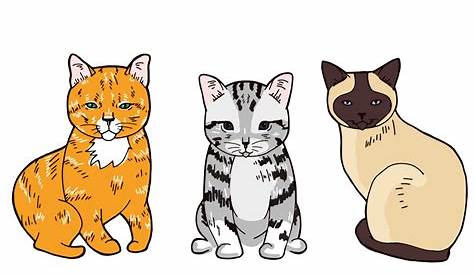 12 Gambar Kucing Kartun Terbaru - Permadi Gani