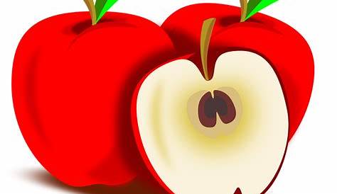 Gambar Apel Hijau Dengan Ilustrasi Vektor Irisan, Apel, Buah, Buah Apel
