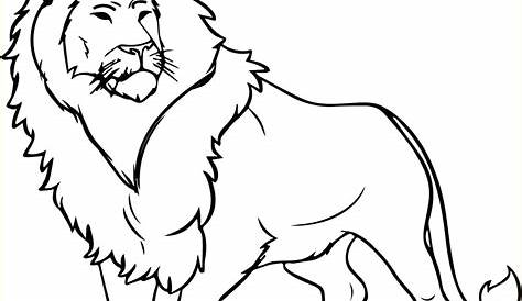 72 Gambar Sketsa Binatang Buas HD | Animal coloring pages, Lion