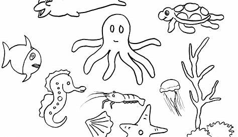 Kumpulan Sketsa Gambar Mewarnai Binatang Laut Untuk Anak PAUD TK