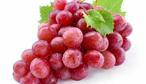 Blue buah anggur manfaat dan kemudaratan kepada tubuh badan, kalori dan