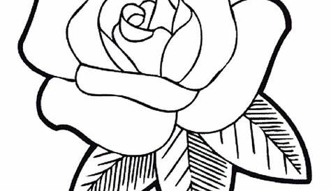 Gambar Bunga Kartun Hitam Putih - 5 Kelopak | Bunga, Gambar bunga, Gambar