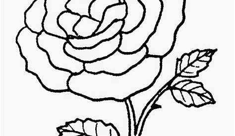 Gambar Bunga Kartun Hitam Putih Untuk Mewarnai Formas