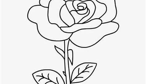 Koleksi Gambar Bunga Mawar Cantik dan Indah - Taman Bunga