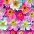 gambar bunga wallpaper