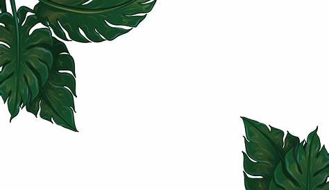 Download PNG Tropical leaves, plant - Free Transparent PNG