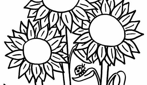 Gambar bunga matahari tanpa warna – Artofit