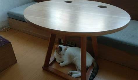 Kucing Di Bawah Meja Foto Stok - Unduh Gambar Sekarang - Anggota tubuh