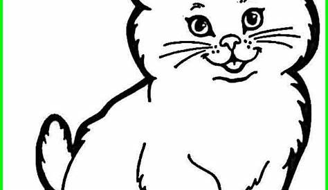 12+ Gambar Kucing Hitam Putih Kartun - Rudi Gambar
