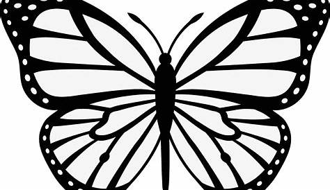 gambar kupu kupu yang mudah | Lukisan kupu-kupu, Menggambar kupu-kupu