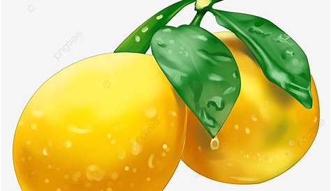 Gambar Limau Mandarin Kartun Lemon Kuning , , Kuning, PNG Dan
