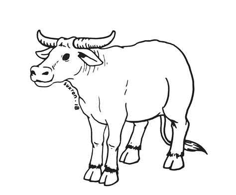 Coloring The Water Buffalo – Tips For Kids And Adults