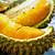 gambar pokok durian musang king